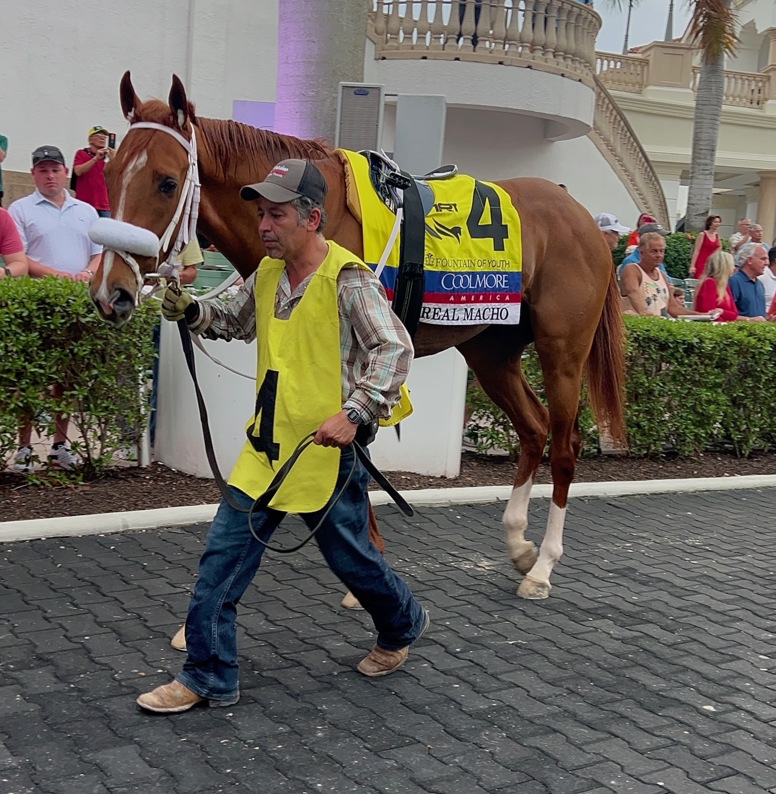 Poe Racing Stable