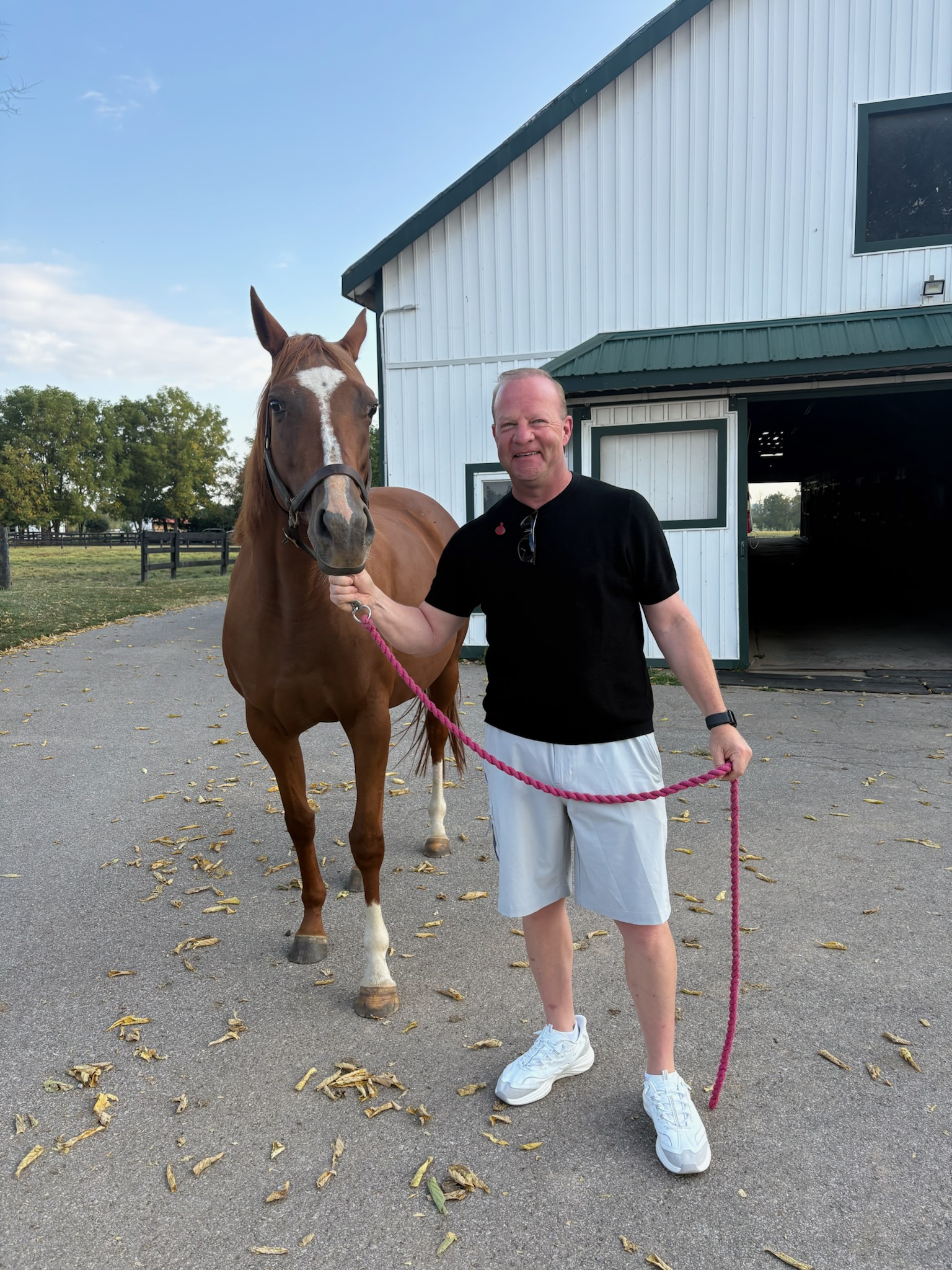 Horse Name
