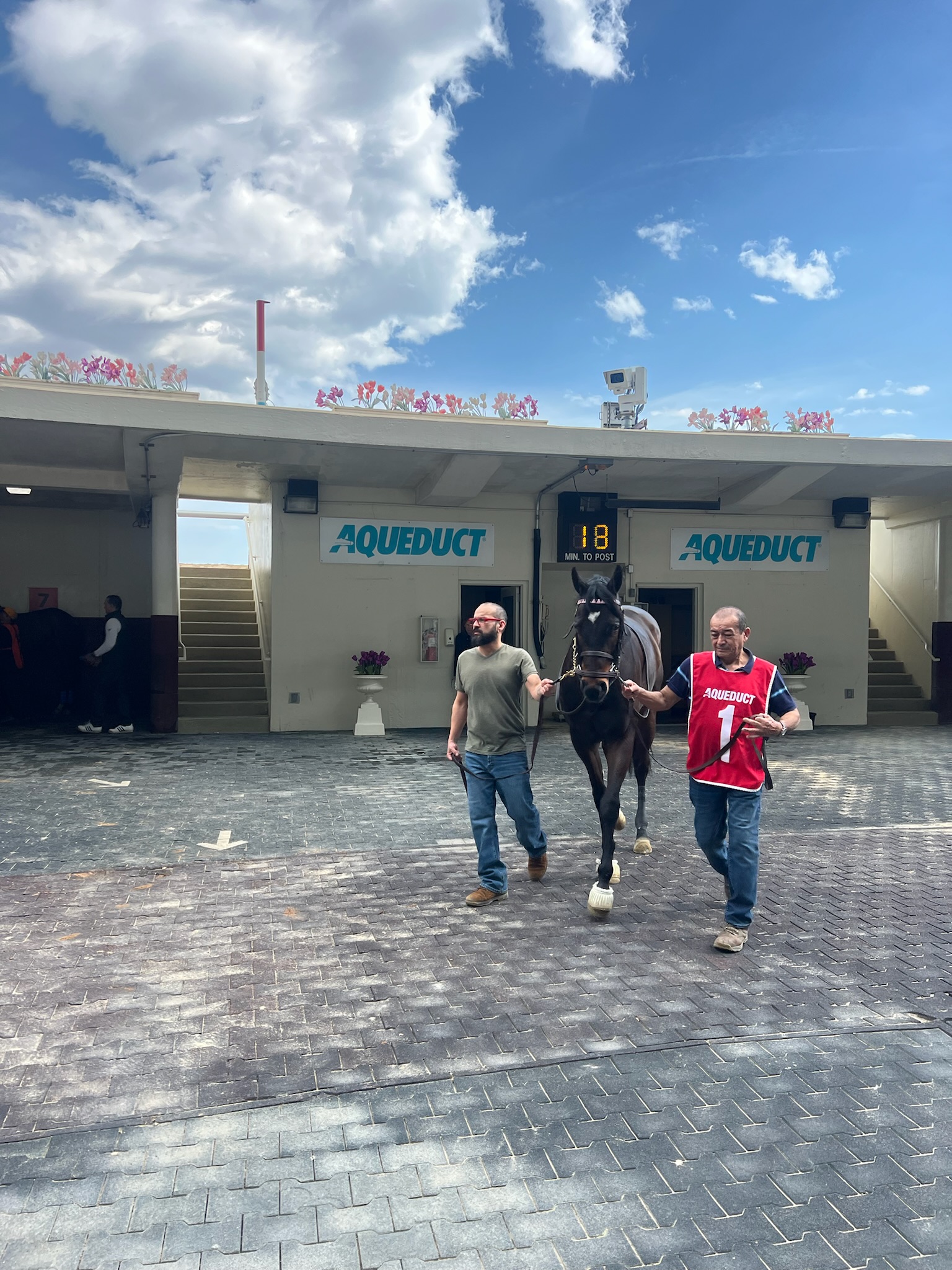 Horse Name